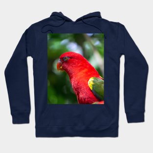 WORLD WILDLIFE DAY Hoodie